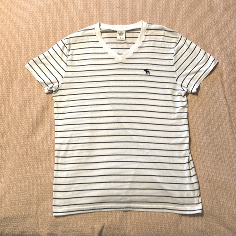 Abercrombie and Fitch, Blue and white striped, large, V-neck T-shirt